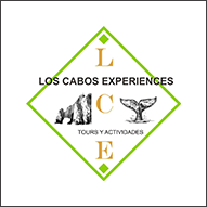 Los Cabos Experiences
